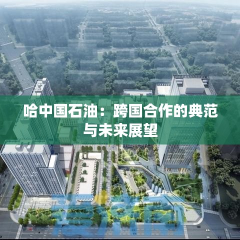 第2264页
