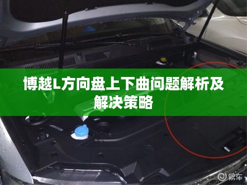 成功案例 第291页