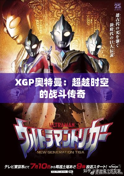 成功案例 第289页