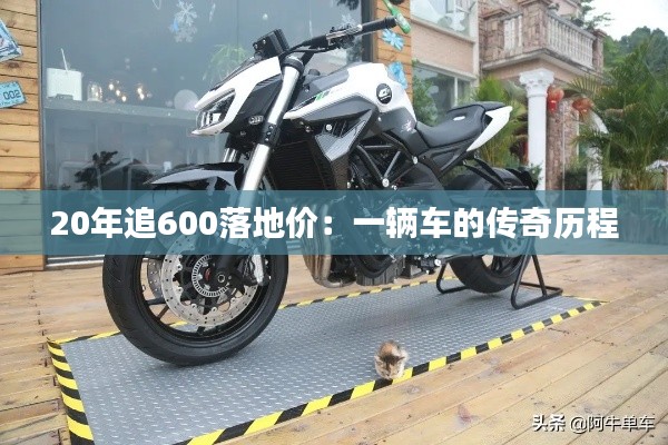 免责声明 第276页