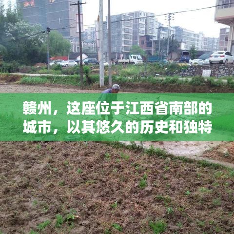 赣州，这座位于江西省南部的城市，以其悠久的历史和独特的文化而闻名。在这座城市中，有一种独特的现象，那就是“赣州搭仔”。赣州搭仔，顾名思义，就是赣州特有的街头文化。它既反映了赣州人民的生活状态，也展现了这座城市独特的魅力。