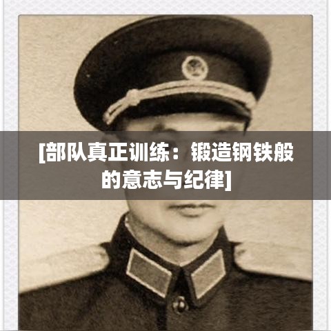 不飞则已 第4页