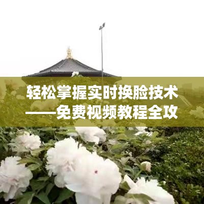 轻松掌握实时换脸技术——免费视频教程全攻略