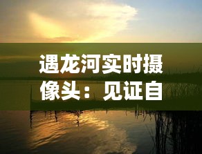 遇龙河实时摄像头：见证自然之美，守护生态安全