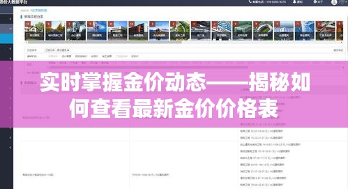 丰容盛鬋 第4页