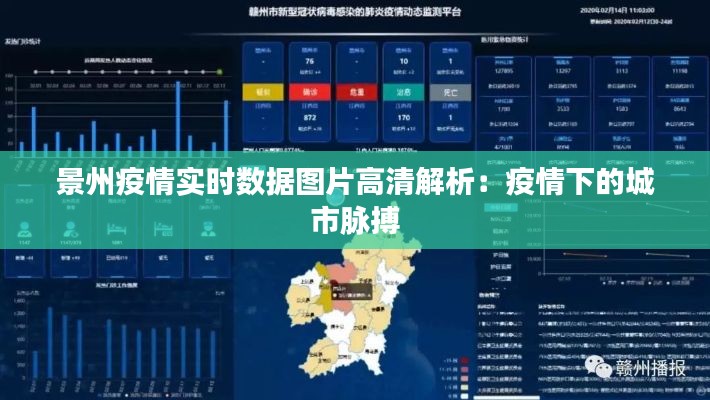景州疫情实时数据图片高清解析：疫情下的城市脉搏