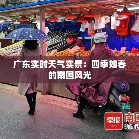 坚持不懈 第4页