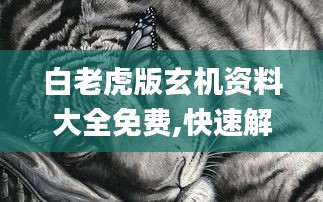 昙花一现 第4页