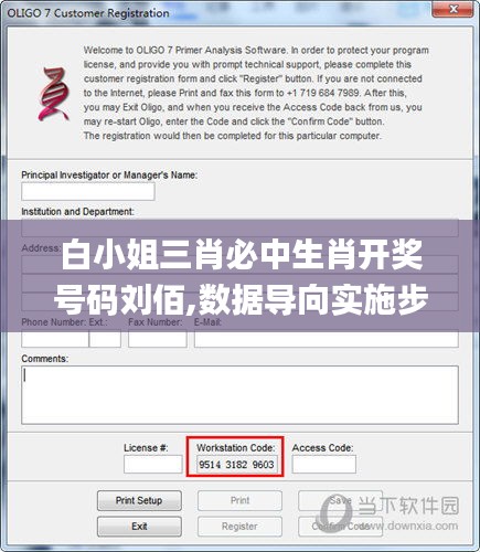 白小姐三肖必中生肖开奖号码刘佰,数据导向实施步骤_DX版19.819