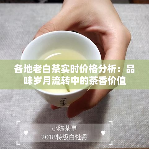 各地老白茶实时价格分析：品味岁月流转中的茶香价值