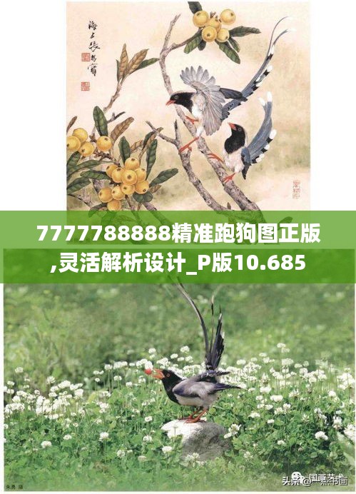 7777788888精准跑狗图正版,灵活解析设计_P版10.685
