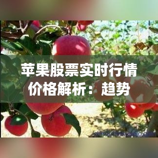 苹果股票实时行情价格解析：趋势、影响因素及投资策略