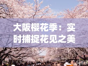 大阪樱花季：实时捕捉花见之美