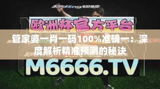 管家婆一肖一码100%准确一：深度解析精准预测的秘诀