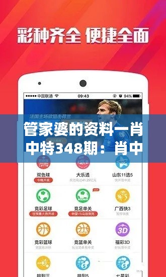 管家婆的资料一肖中特348期：肖中特348期的资产配置策略