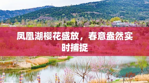 鸟吏鼈官 第4页