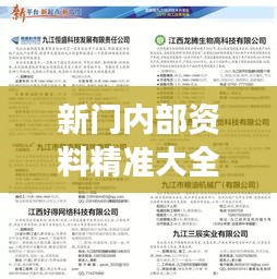 新门内部资料精准大全：精准资料，助你实现事业飞跃