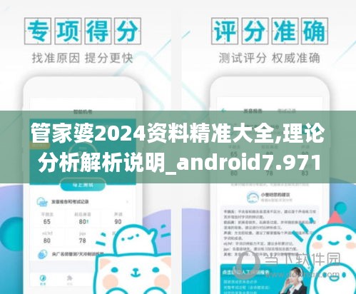 管家婆2024资料精准大全,理论分析解析说明_android7.971