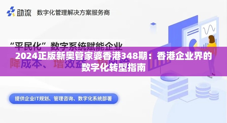 2024正版新奥管家婆香港348期：香港企业界的数字化转型指南