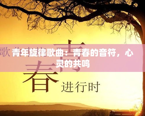 青年旋律歌曲：青春的音符，心灵的共鸣