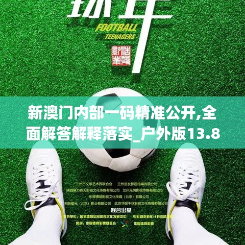 新澳门内部一码精准公开,全面解答解释落实_户外版13.835