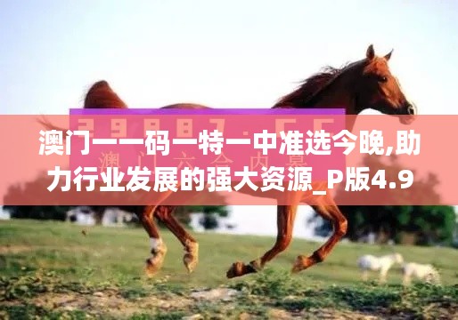 澳门一一码一特一中准选今晚,助力行业发展的强大资源_P版4.976