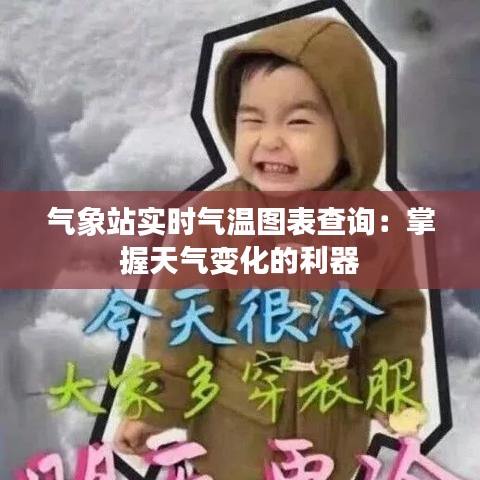 气象站实时气温图表查询：掌握天气变化的利器
