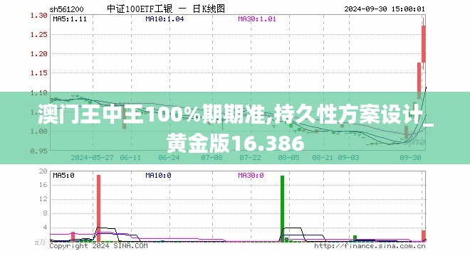 澳门王中王100%期期准,持久性方案设计_黄金版16.386