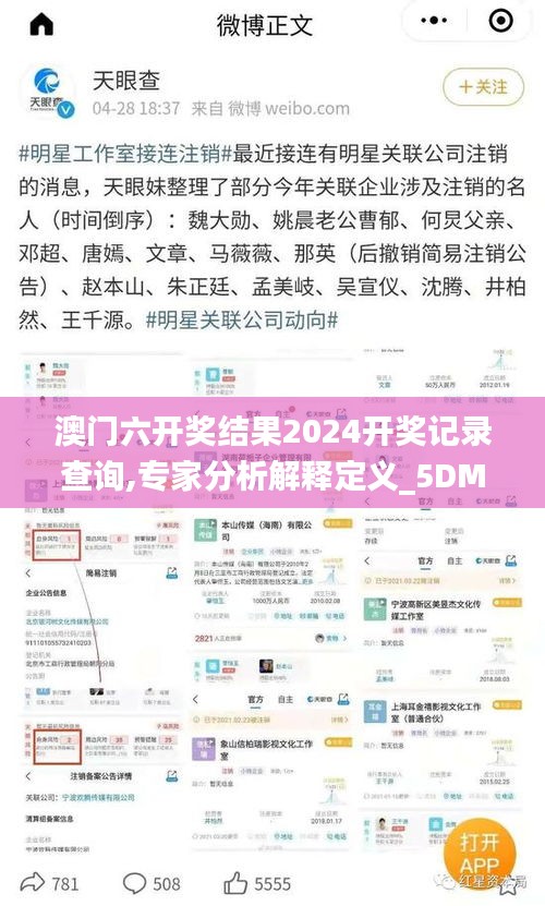 澳门六开奖结果2024开奖记录查询,专家分析解释定义_5DM9.848