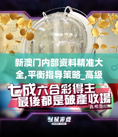新澳门内部资料精准大全,平衡指导策略_高级款9.474