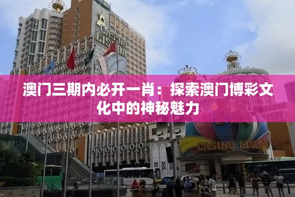 澳门三期内必开一肖：探索澳门博彩文化中的神秘魅力