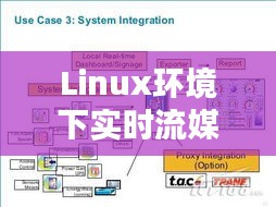 Linux环境下实时流媒体编程：技术原理与实践指南