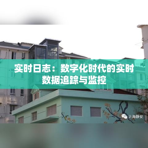 实时日志：数字化时代的实时数据追踪与监控