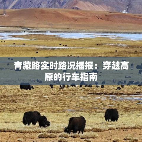青藏路实时路况播报：穿越高原的行车指南