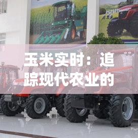 栖冲业简 第3页