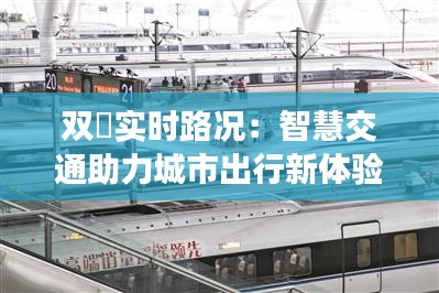 双滘实时路况：智慧交通助力城市出行新体验