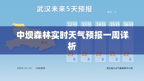 中坝森林实时天气预报一周详析