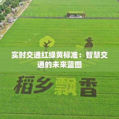 实时交通红绿黄标准：智慧交通的未来蓝图