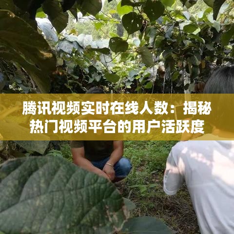 腾讯视频实时在线人数：揭秘热门视频平台的用户活跃度
