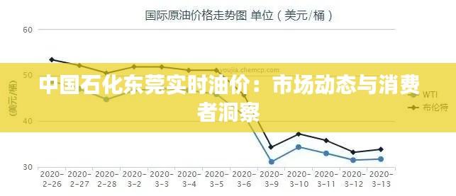 中国石化东莞实时油价：市场动态与消费者洞察