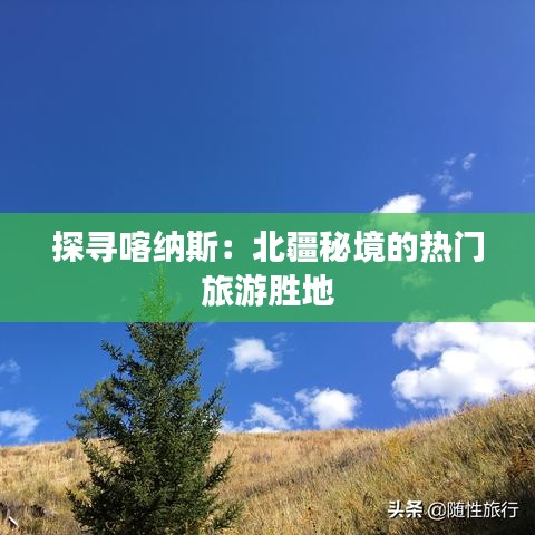 探寻喀纳斯：北疆秘境的热门旅游胜地