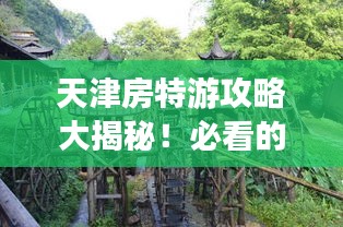披肝沥胆 第3页