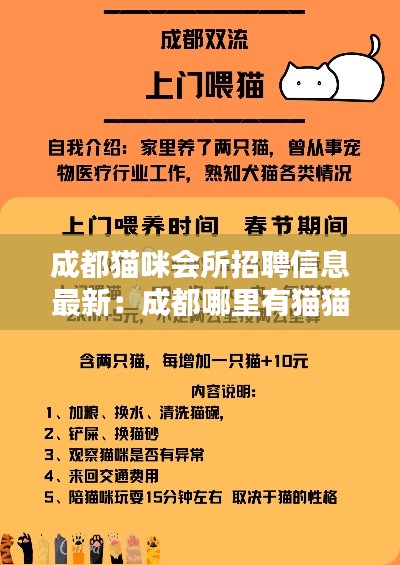 成都猫咪会所招聘信息最新：成都哪里有猫猫店 