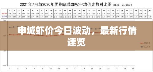 申城虾价今日波动，最新行情速览
