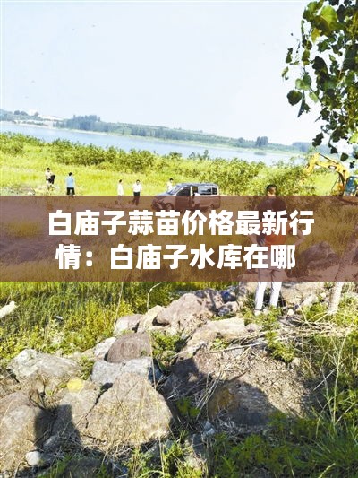 南辕北辙 第2页