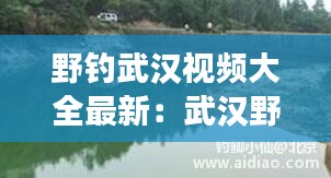 野钓武汉视频大全最新：武汉野钓好去处 