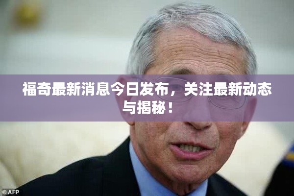 福奇最新消息今日发布，关注最新动态与揭秘！