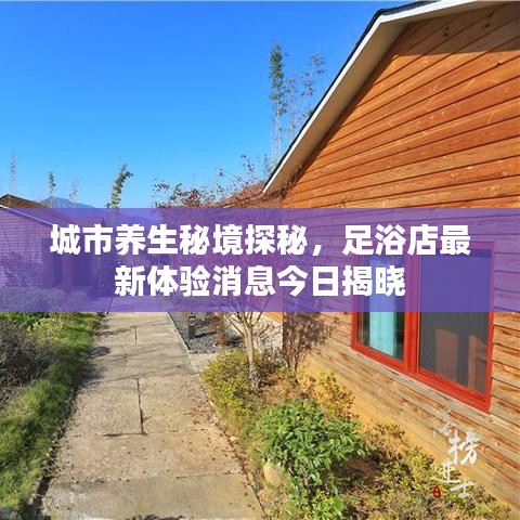 明夷于飞 第2页