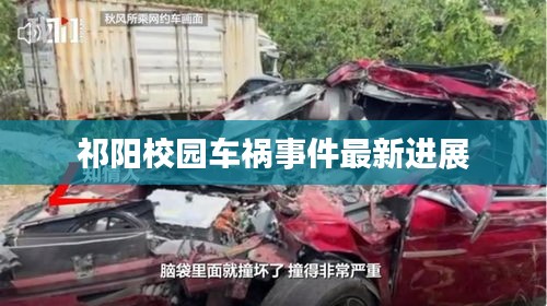 张牙舞爪 第2页