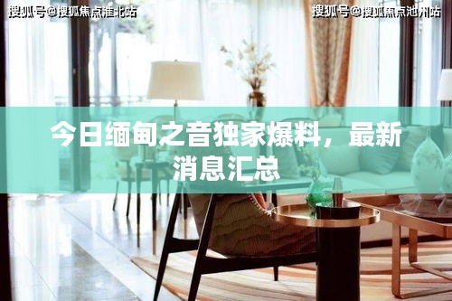 林下风气 第2页